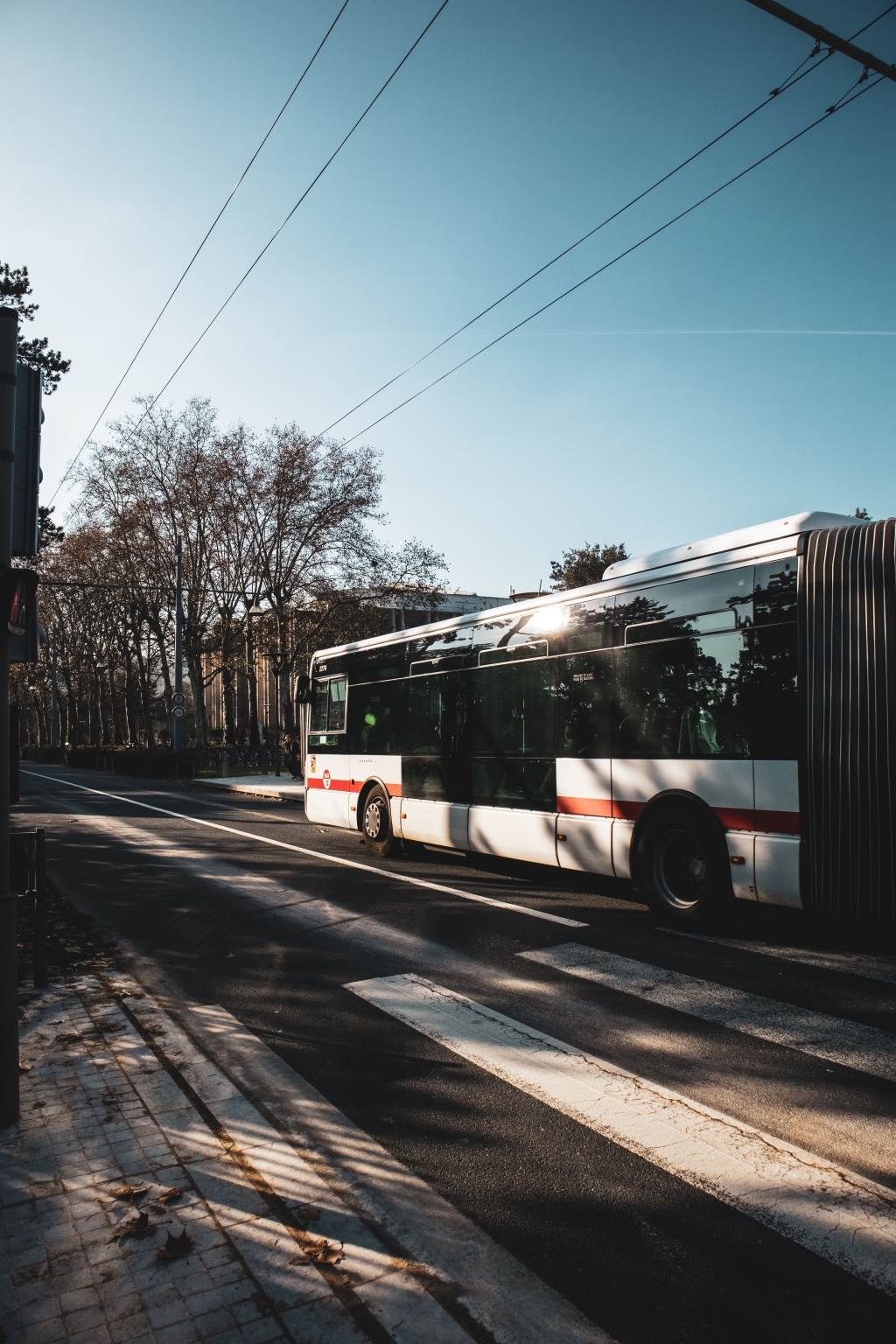 Buss.jpg